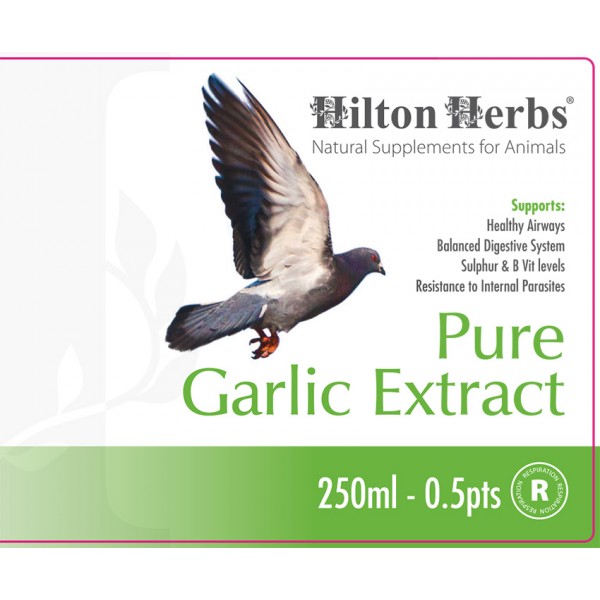 Garlic Juice image